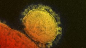 「MERS」のときのコロナウイルス（提供:National Institute for Allergy and Infectious Diseases/ロイター/アフロ）