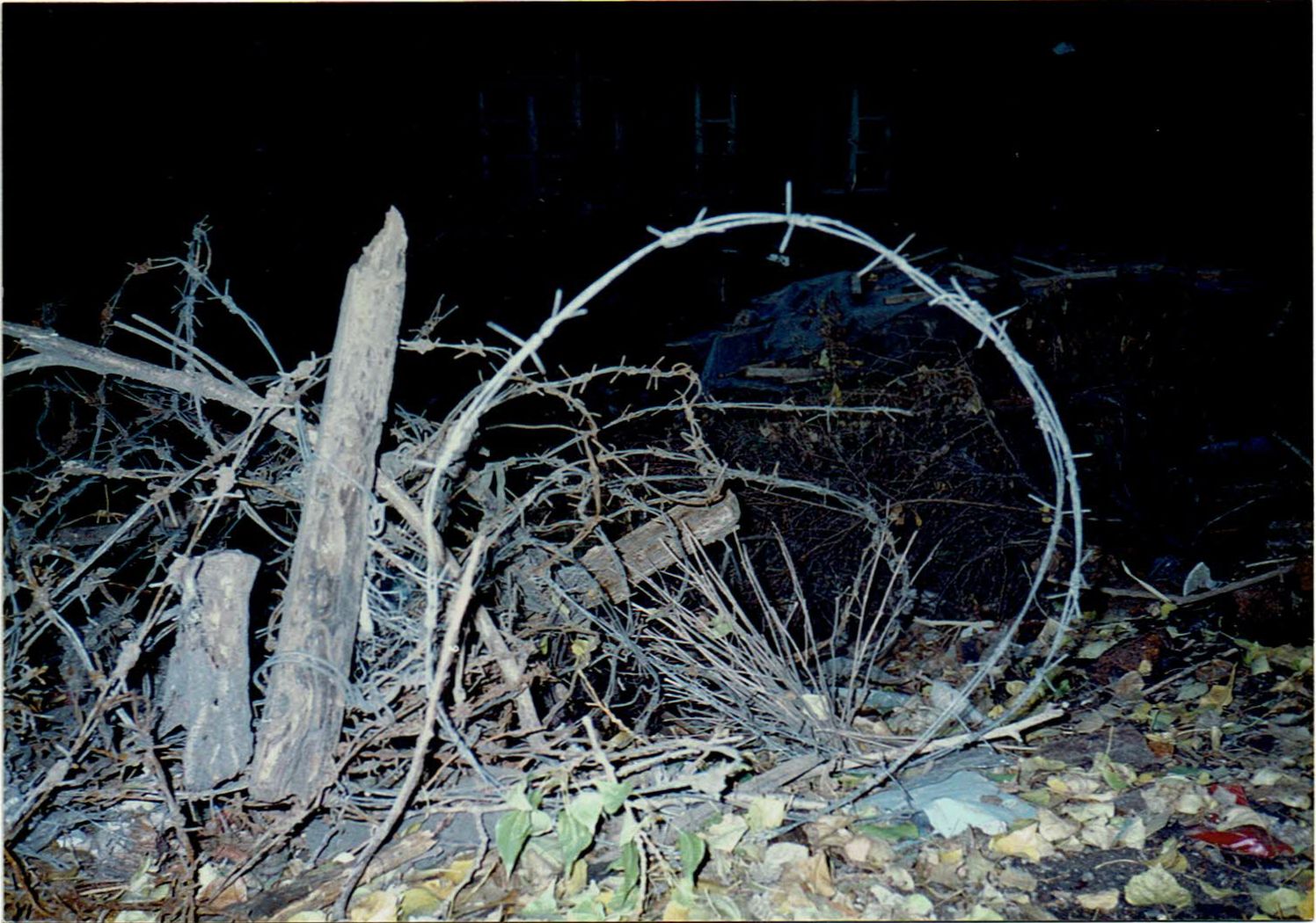 1994年９月20日、筆者撮影。世界に一枚しかない、1948年の鉄条網の残骸。