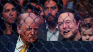 米総合格闘技を観戦するトランプ大統領とイーロン・マスク氏（写真:Imagn/ロイター/アフロ）